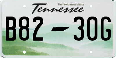 TN license plate B8230G