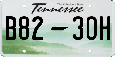 TN license plate B8230H