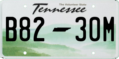 TN license plate B8230M