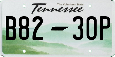 TN license plate B8230P