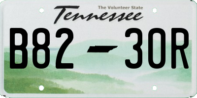TN license plate B8230R