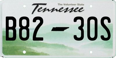TN license plate B8230S