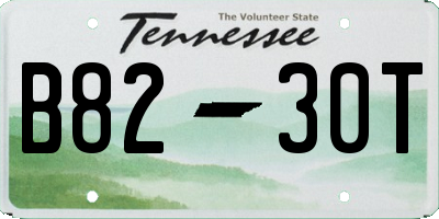 TN license plate B8230T