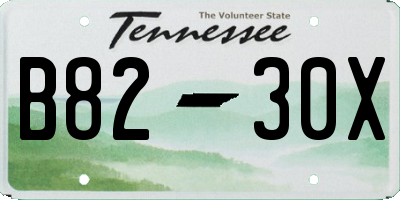 TN license plate B8230X
