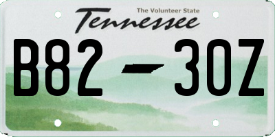 TN license plate B8230Z