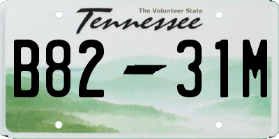 TN license plate B8231M