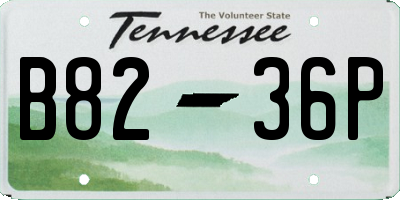 TN license plate B8236P
