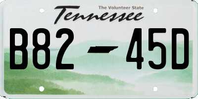 TN license plate B8245D