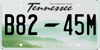 TN license plate B8245M