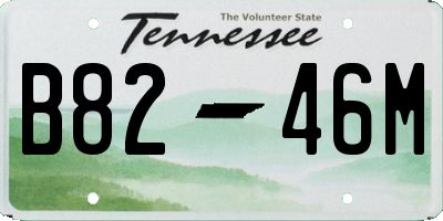 TN license plate B8246M