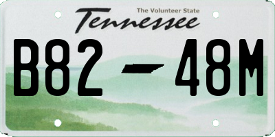 TN license plate B8248M