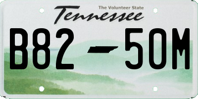 TN license plate B8250M