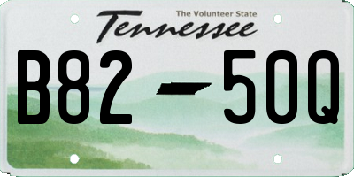 TN license plate B8250Q