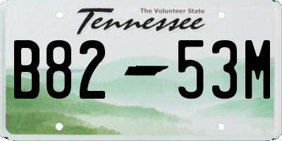 TN license plate B8253M