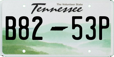 TN license plate B8253P