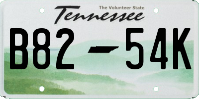 TN license plate B8254K