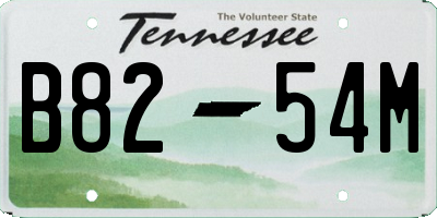 TN license plate B8254M