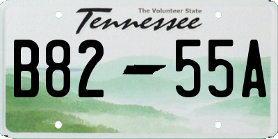 TN license plate B8255A