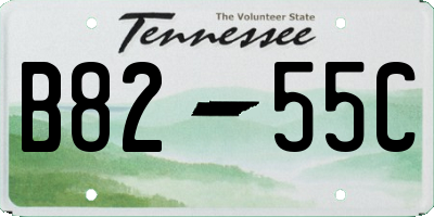 TN license plate B8255C