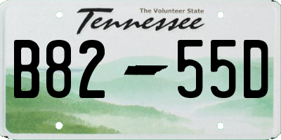 TN license plate B8255D