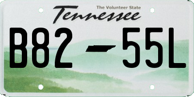 TN license plate B8255L