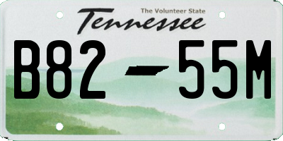 TN license plate B8255M