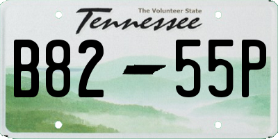TN license plate B8255P