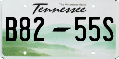 TN license plate B8255S