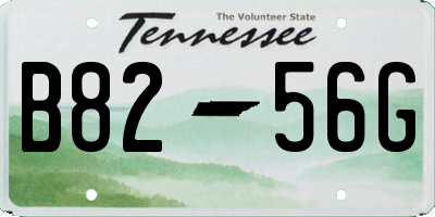 TN license plate B8256G