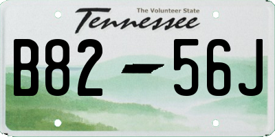 TN license plate B8256J