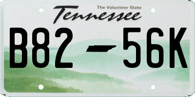 TN license plate B8256K