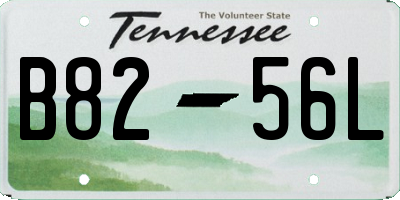 TN license plate B8256L
