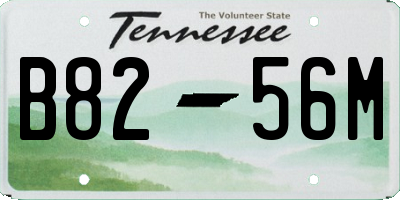 TN license plate B8256M