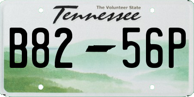 TN license plate B8256P
