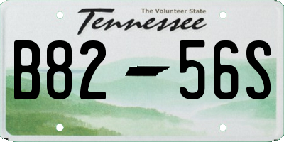 TN license plate B8256S