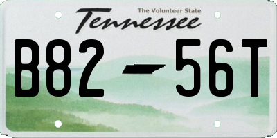 TN license plate B8256T