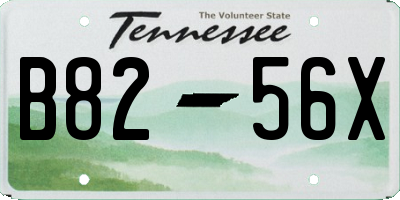 TN license plate B8256X