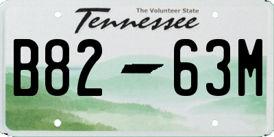 TN license plate B8263M