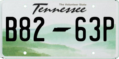 TN license plate B8263P