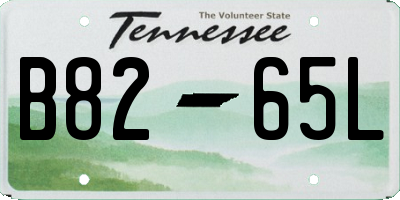 TN license plate B8265L