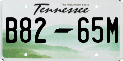 TN license plate B8265M