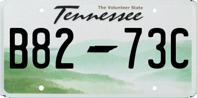 TN license plate B8273C
