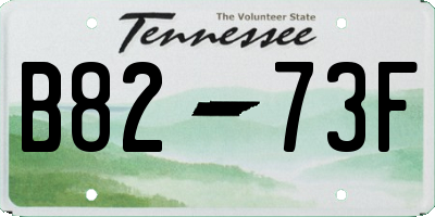 TN license plate B8273F