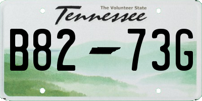 TN license plate B8273G