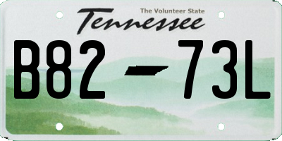 TN license plate B8273L