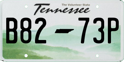 TN license plate B8273P