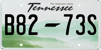 TN license plate B8273S
