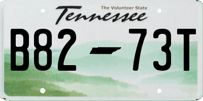TN license plate B8273T