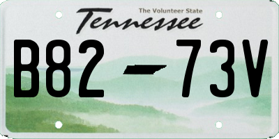 TN license plate B8273V
