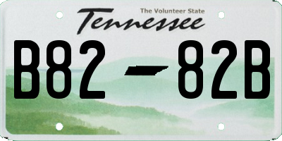 TN license plate B8282B